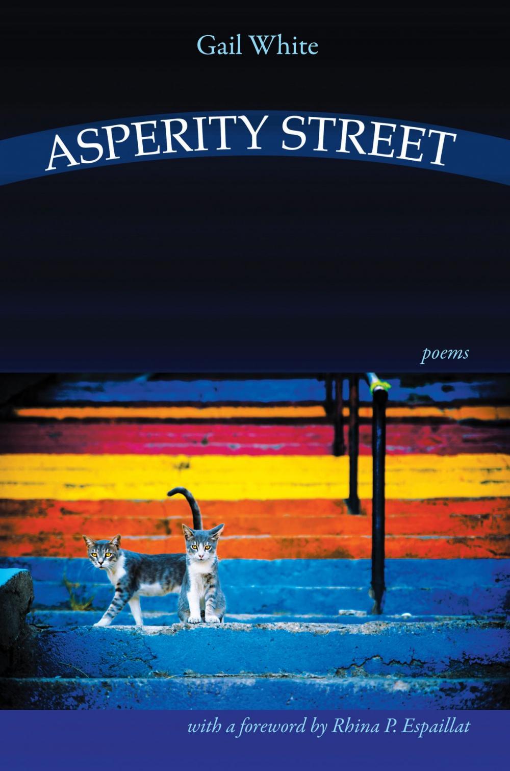 Big bigCover of Asperity Street - Poems