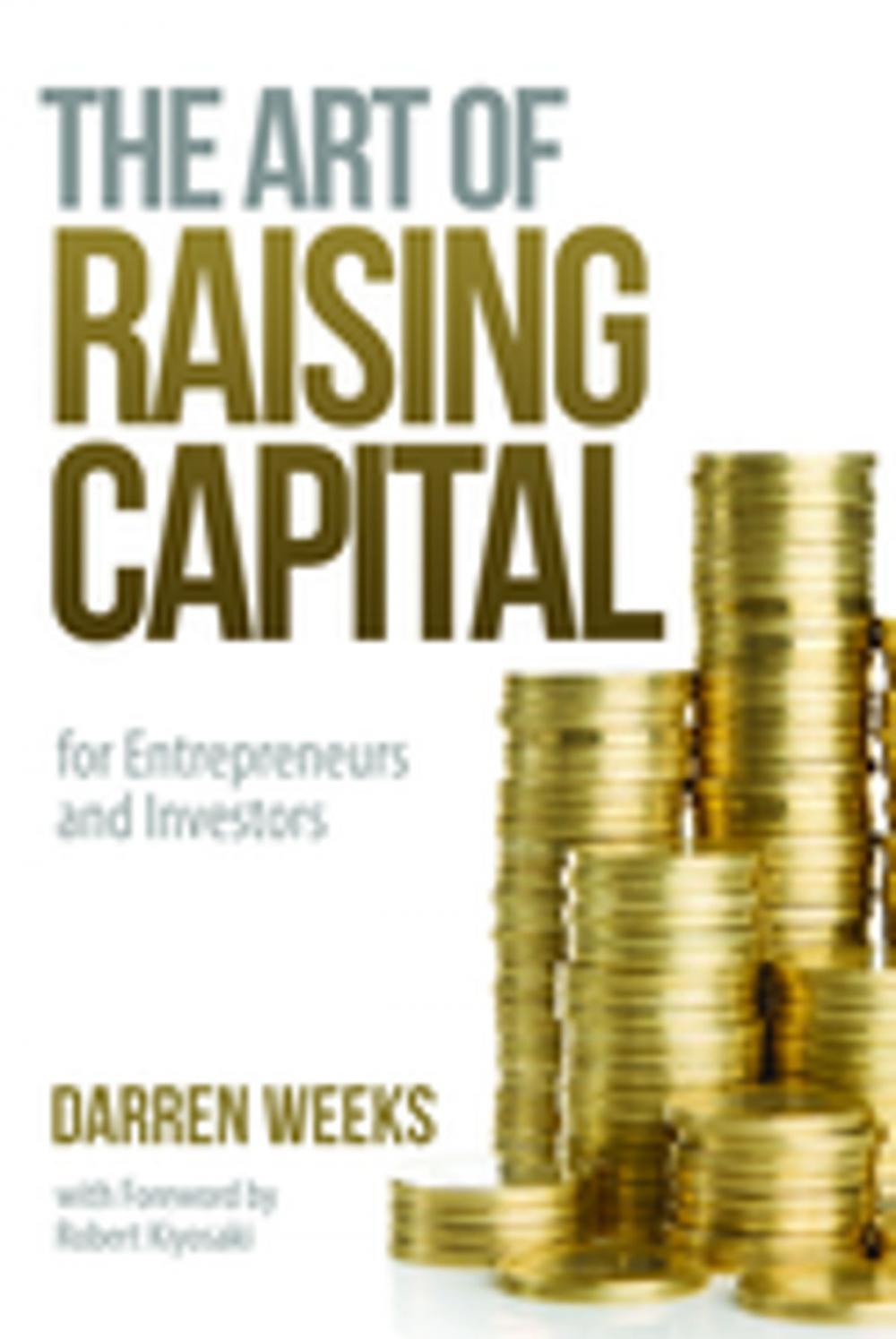 Big bigCover of The Art of Raising Capital