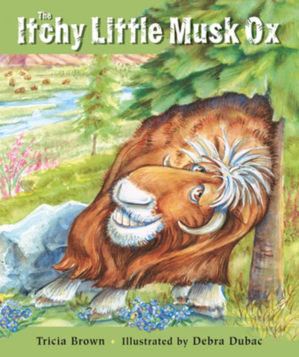 Big bigCover of The Itchy Little Musk Ox