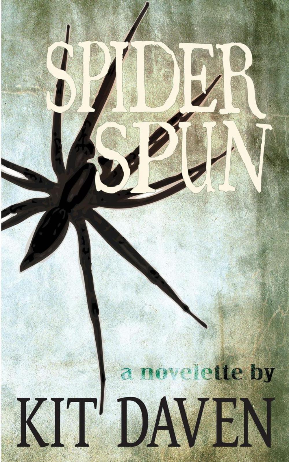 Big bigCover of Spider Spun: A Novelette