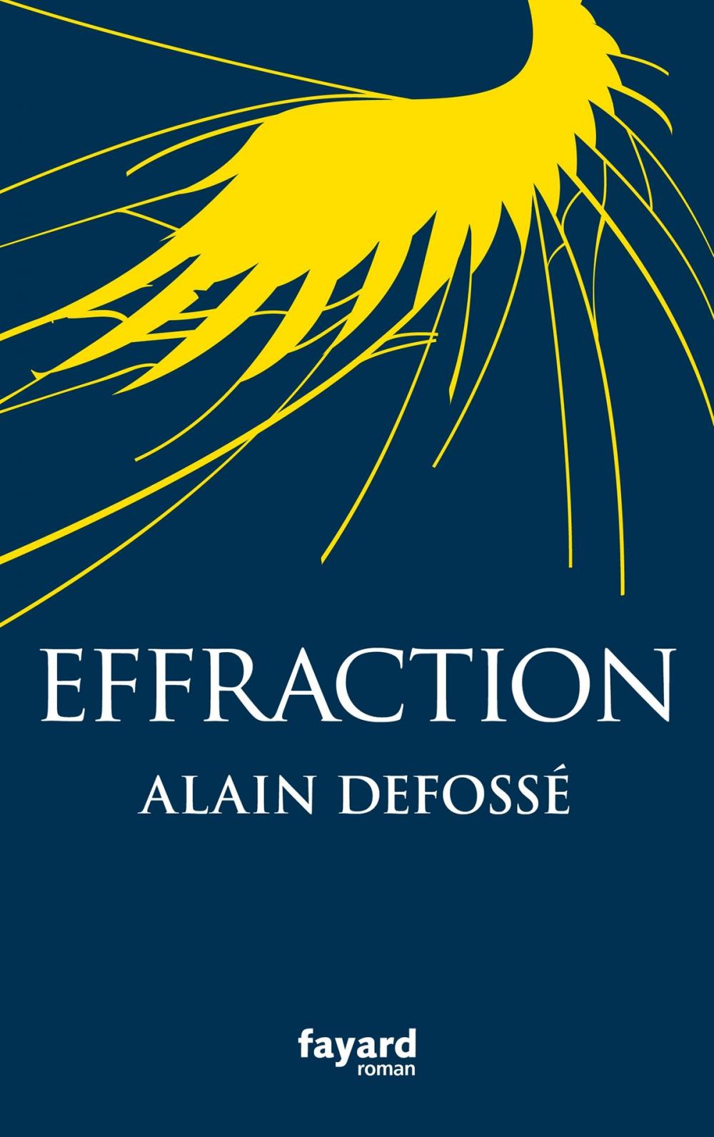 Big bigCover of Effraction