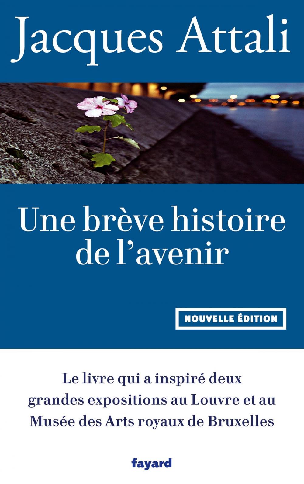 Big bigCover of Une brève histoire de l'avenir