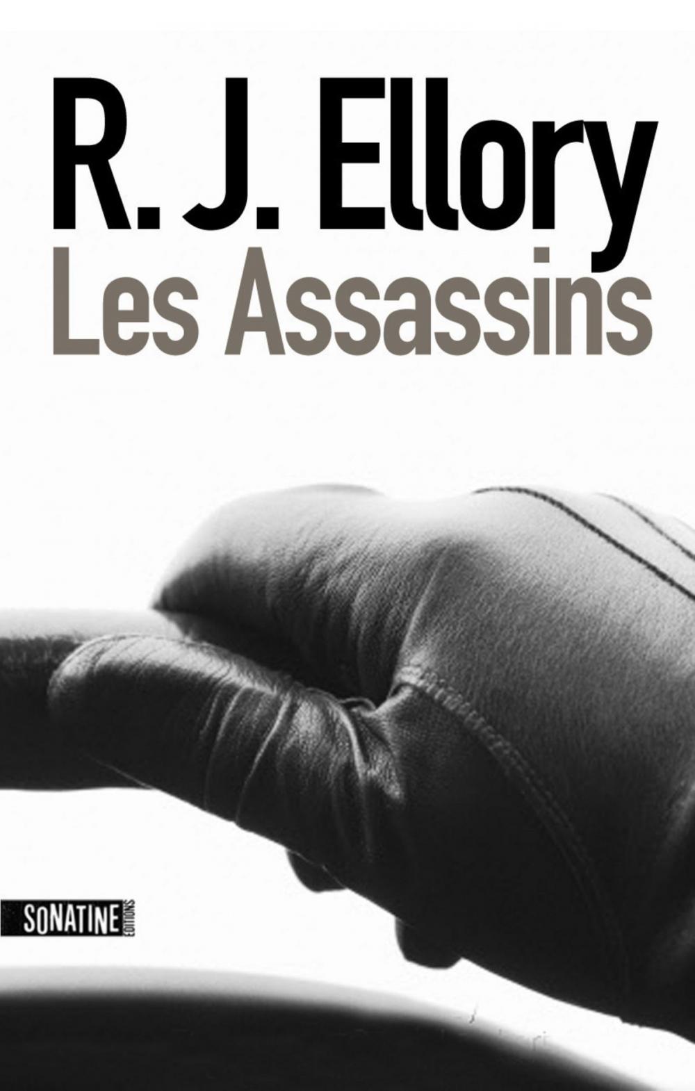 Big bigCover of Les Assassins