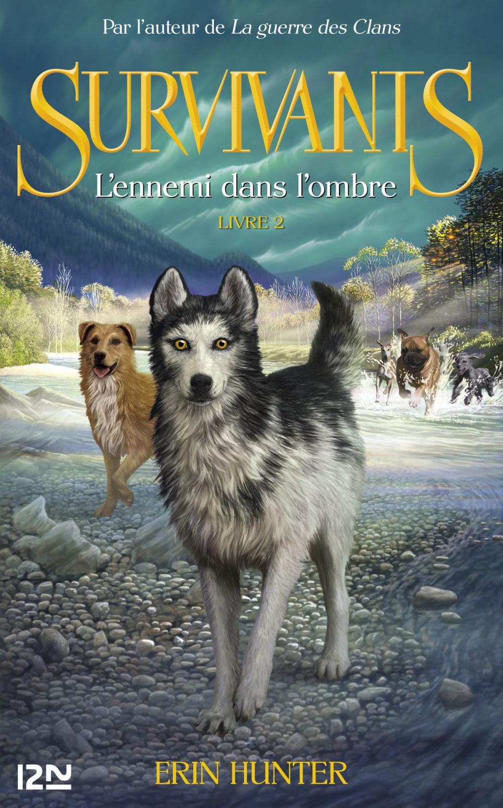 Big bigCover of Les survivants, tome 2 : L'Ennemi dans l'ombre