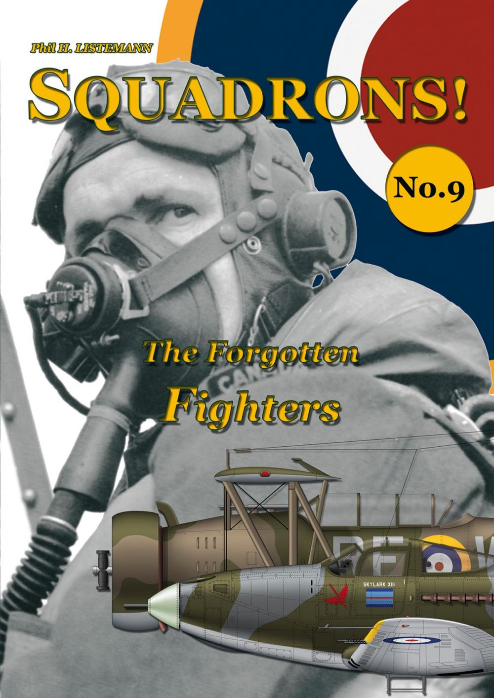 Big bigCover of The Forgotten Fighters