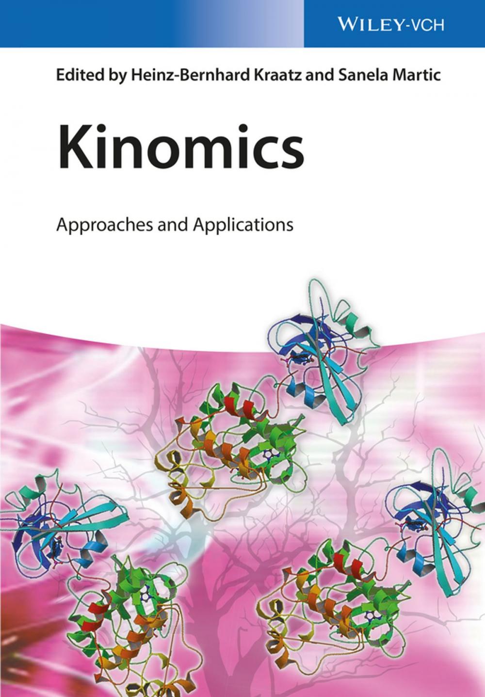 Big bigCover of Kinomics