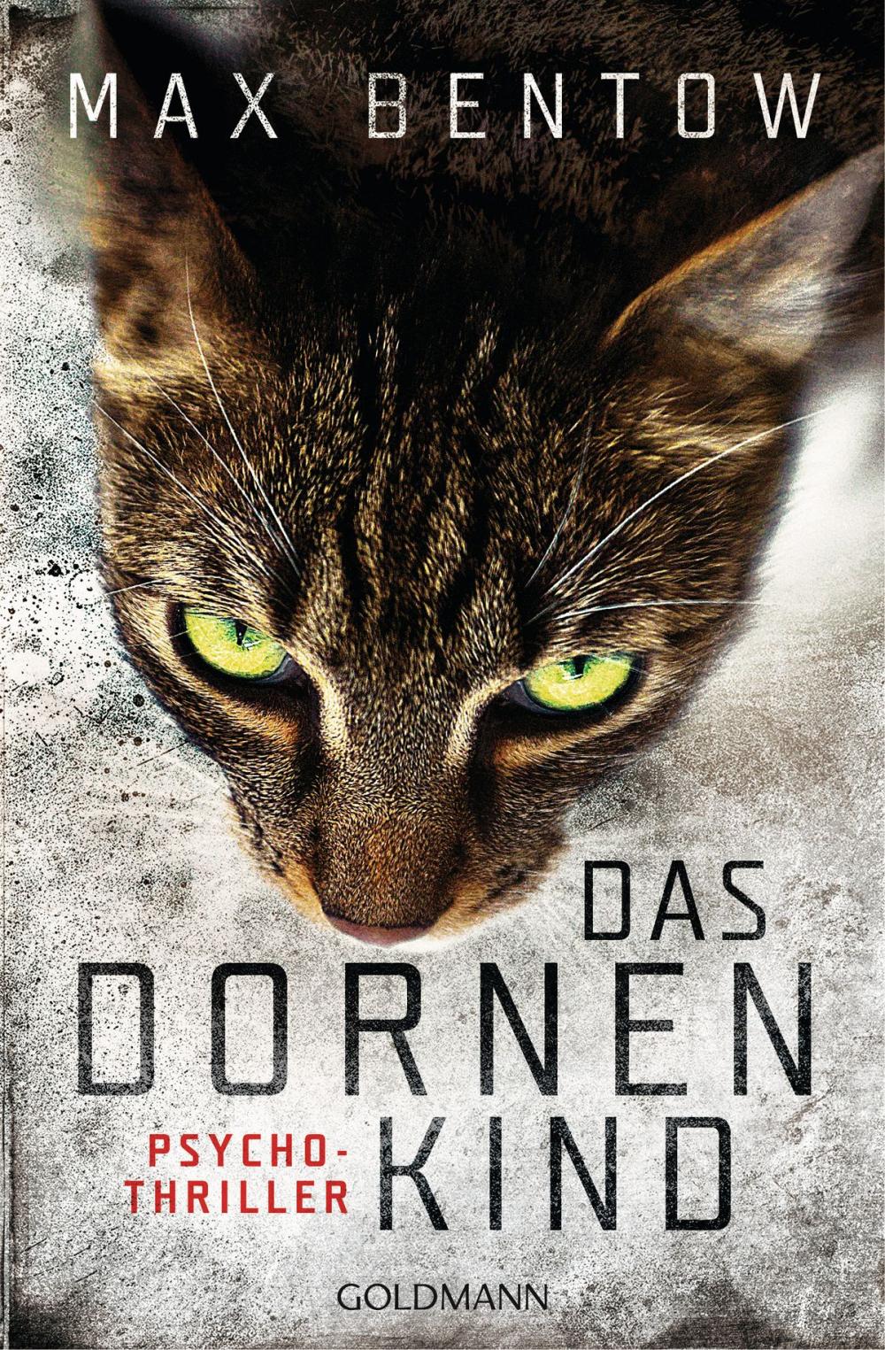 Big bigCover of Das Dornenkind