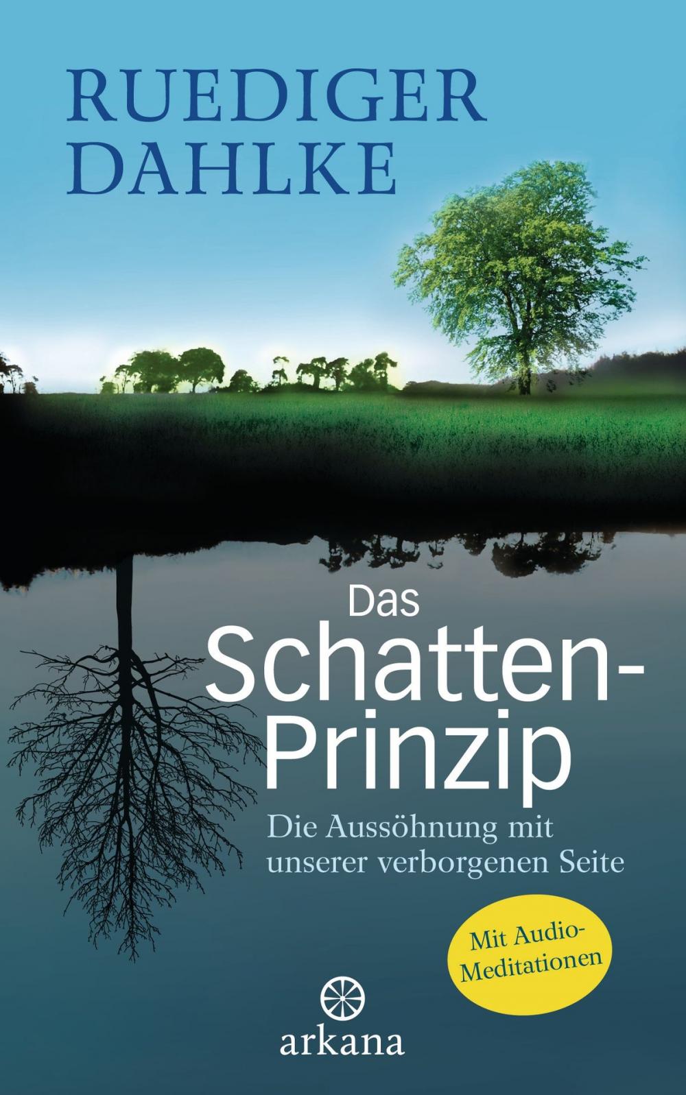 Big bigCover of Das Schatten-Prinzip