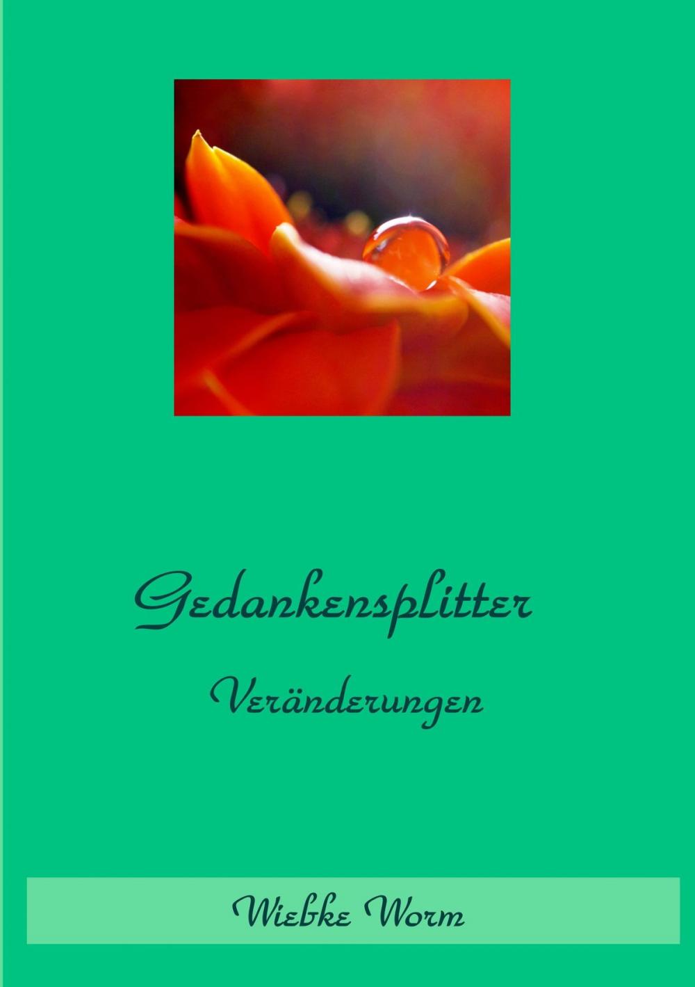 Big bigCover of Gedankensplitter