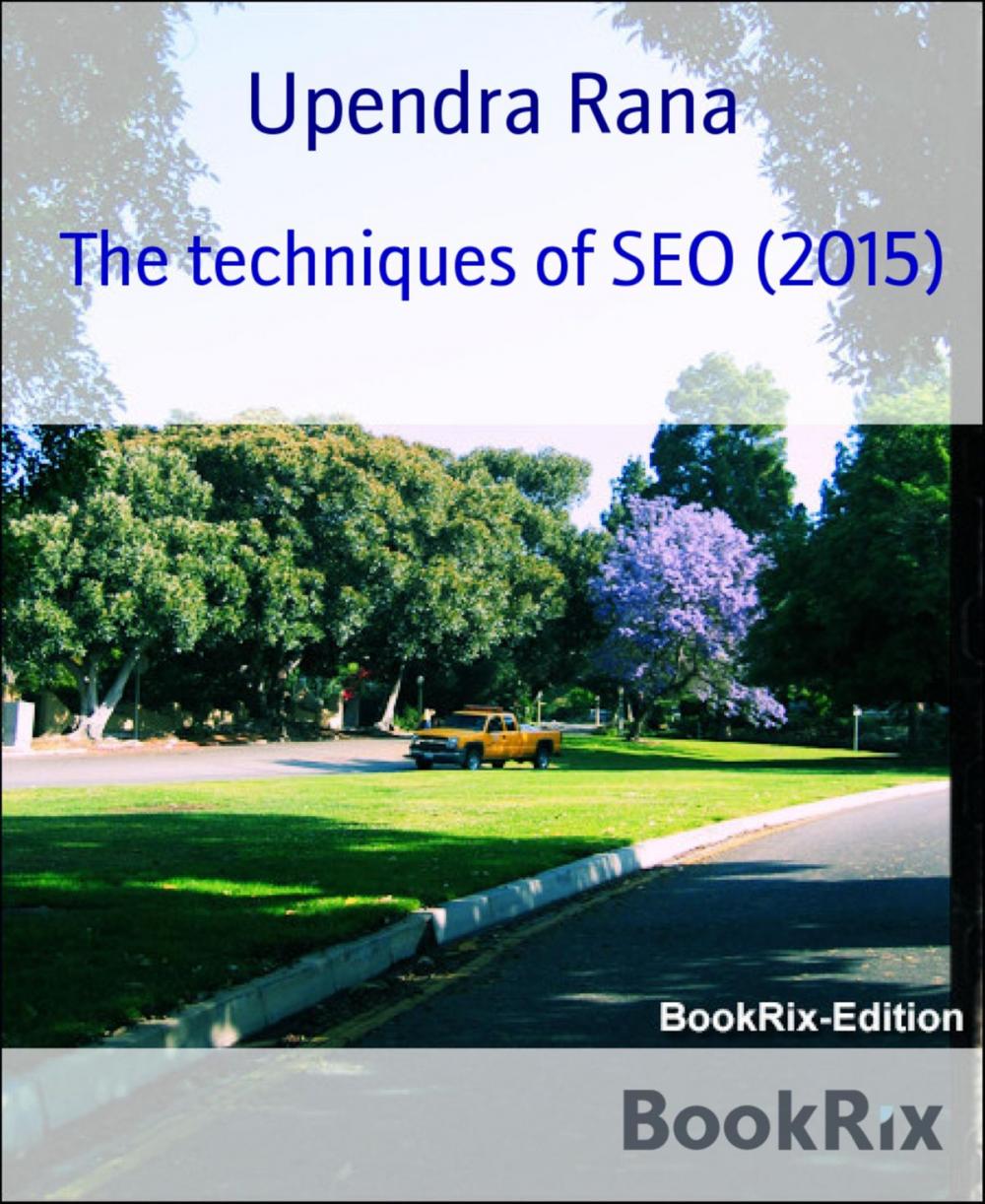 Big bigCover of The techniques of SEO (2015)