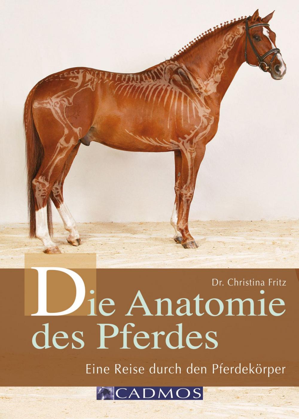 Big bigCover of Die Anatomie des Pferdes