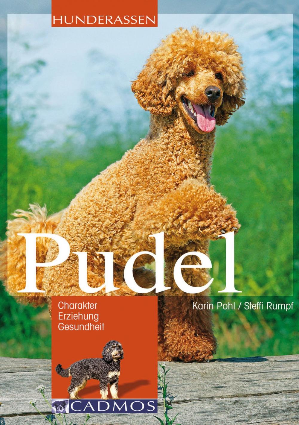 Big bigCover of Pudel