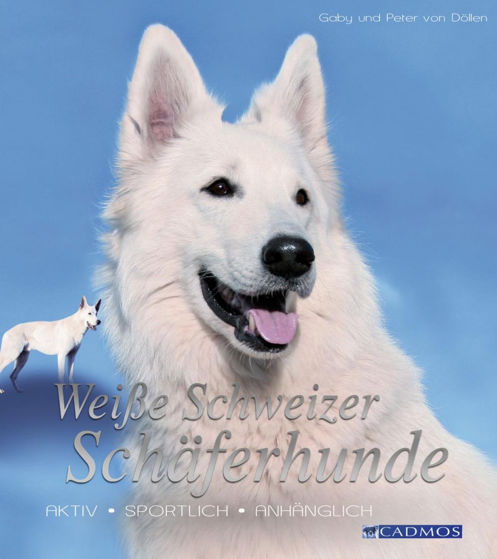 Big bigCover of Weiße Schweizer Schäferhunde