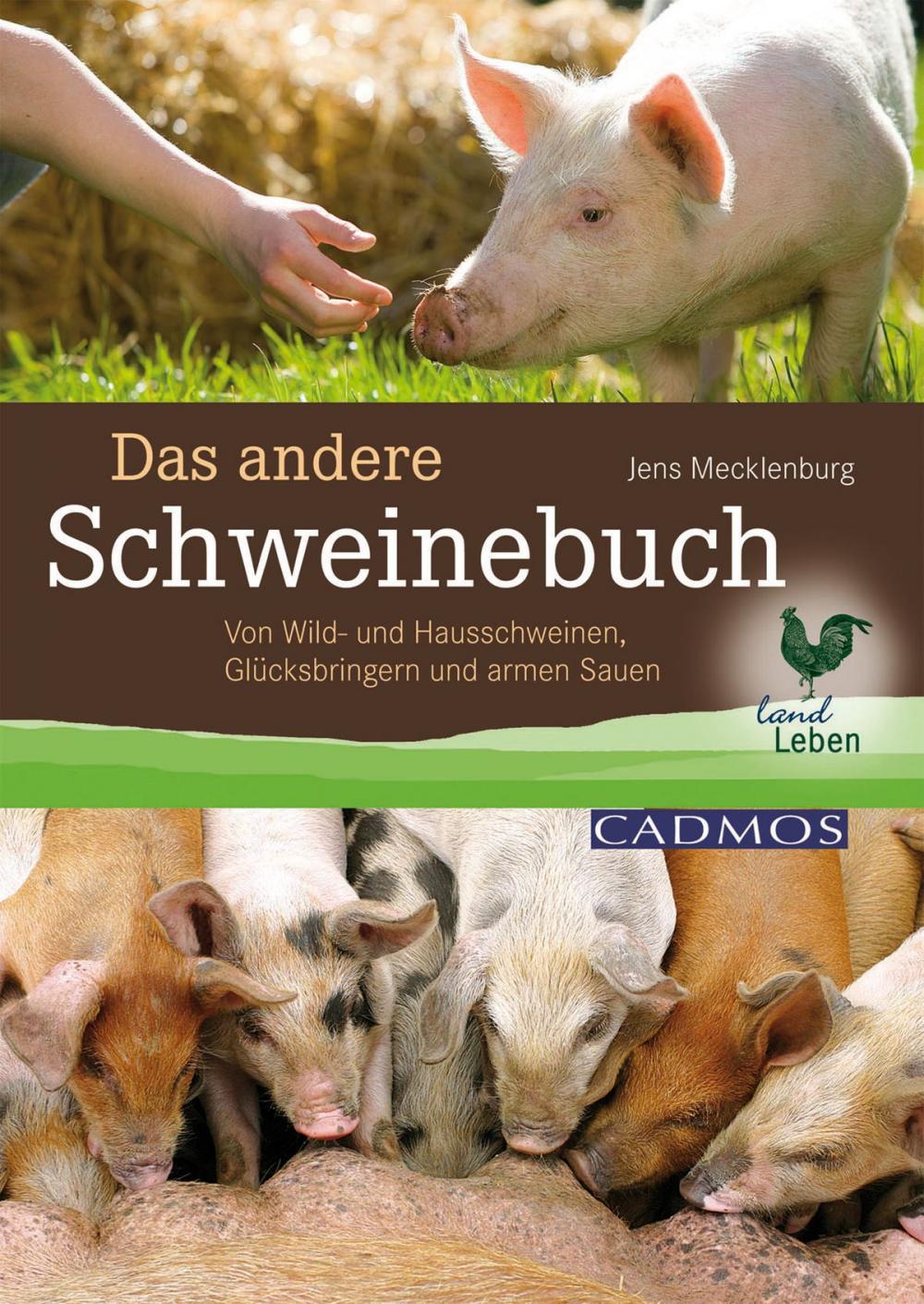 Big bigCover of Das andere Schweinebuch