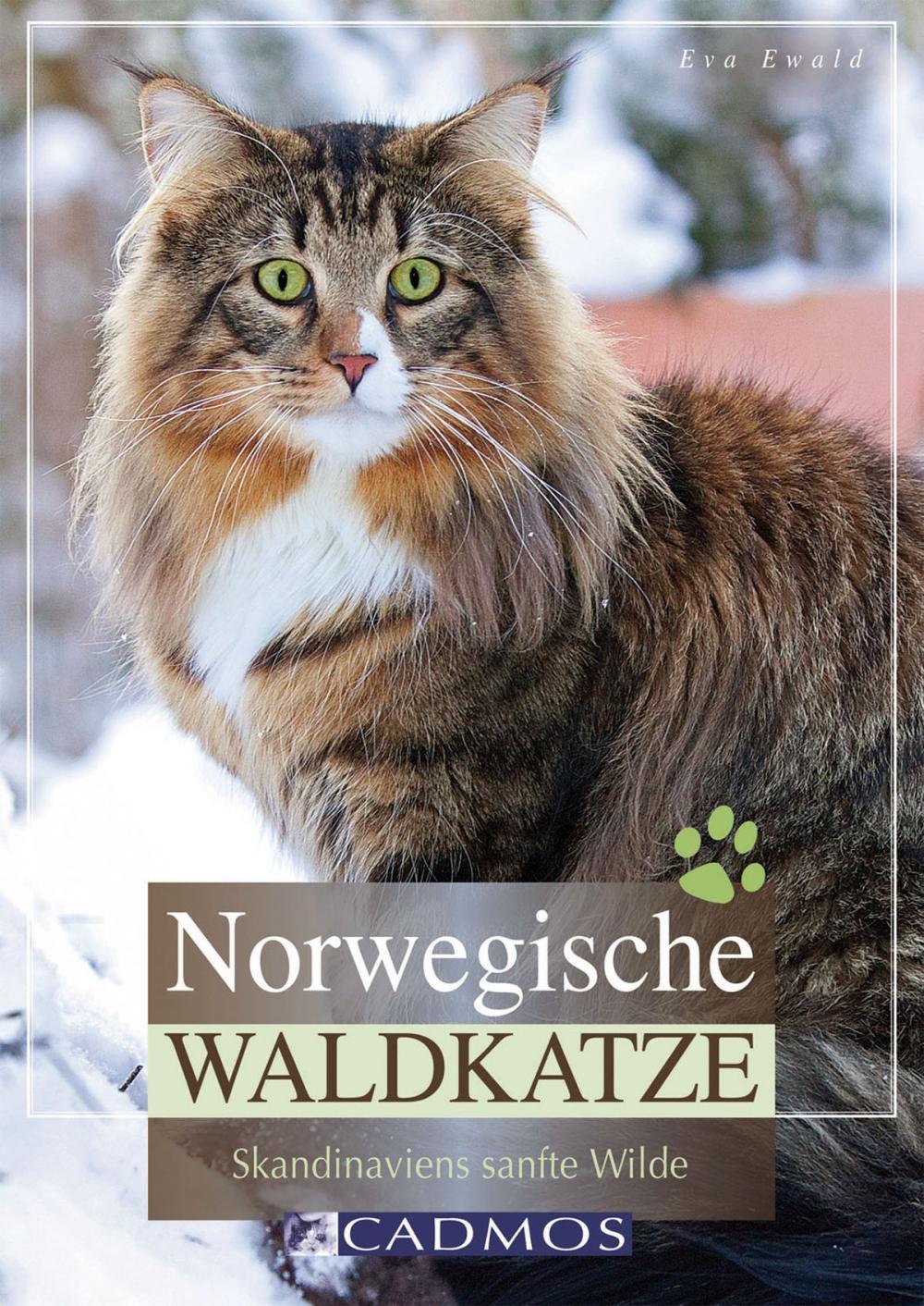 Big bigCover of Norwegische Waldkatze