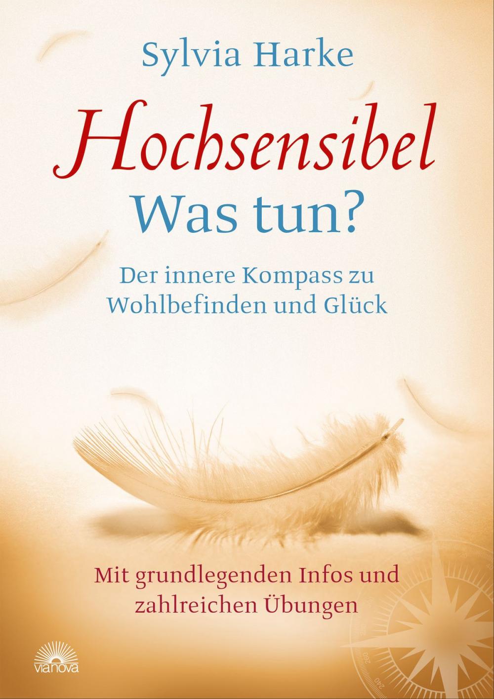 Big bigCover of Hochsensibel Was tun?