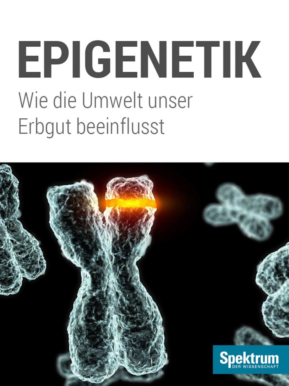 Big bigCover of Spektrum Kompakt - Epigenetik