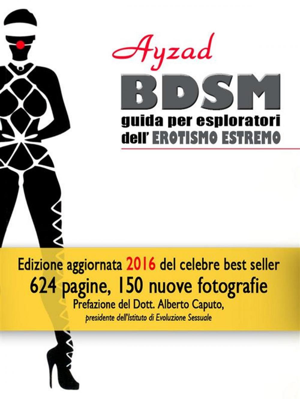 Big bigCover of BDSM - Guida per esploratori dell'erotismo estremo (V ed. 2016)