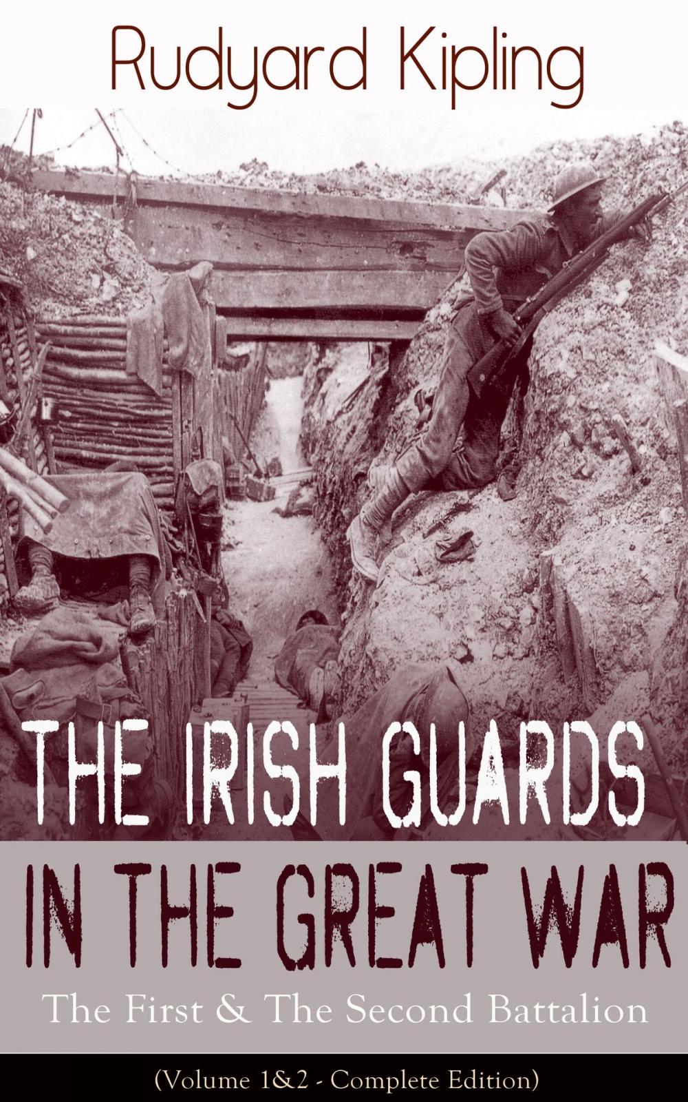 Big bigCover of The Irish Guards in the Great War: The First & The Second Battalion (Volume 1&2 - Complete Edition)