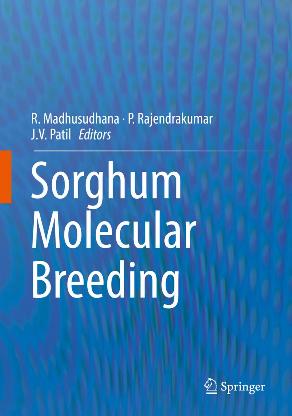 Big bigCover of Sorghum Molecular Breeding