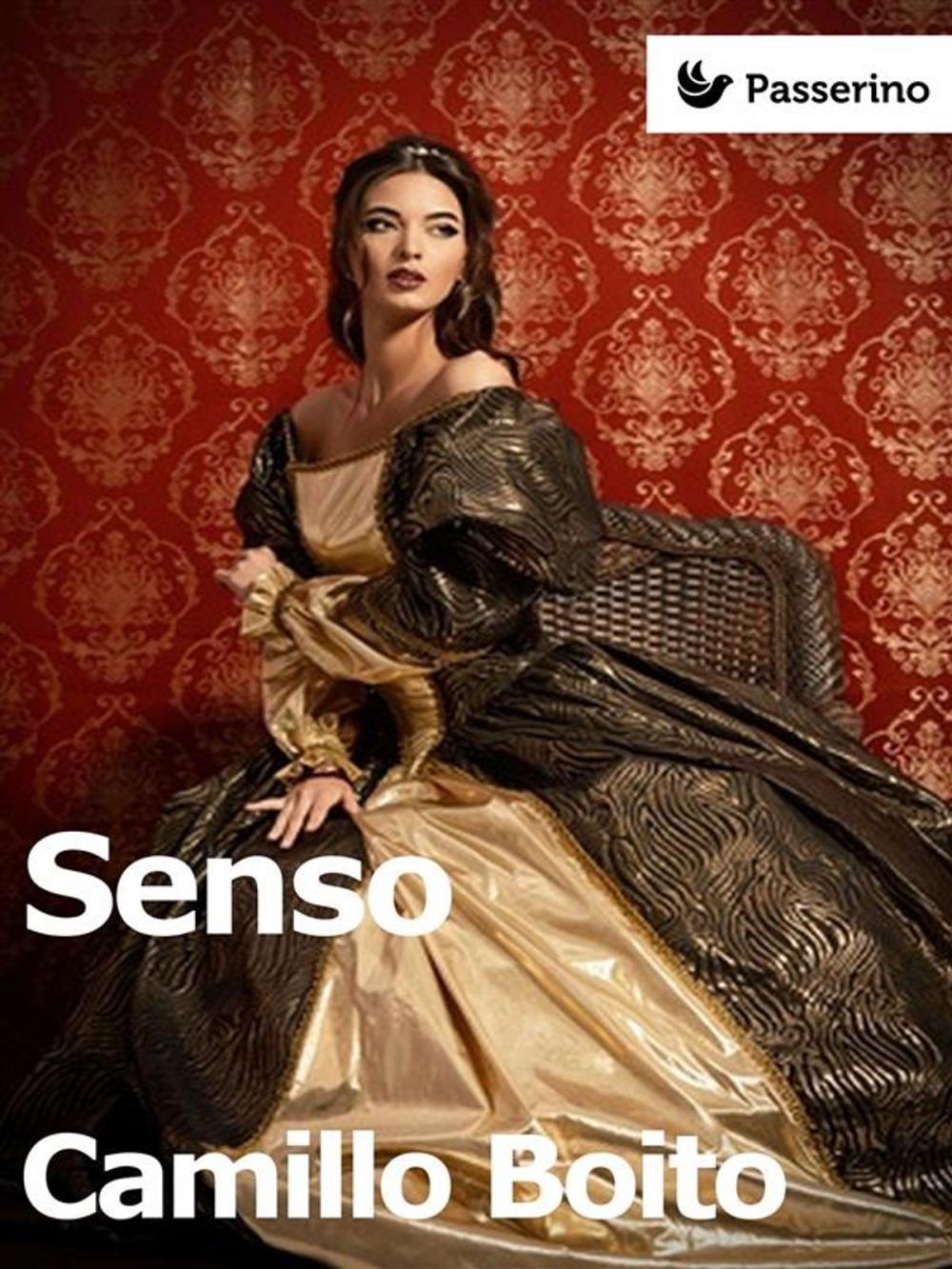 Big bigCover of Senso