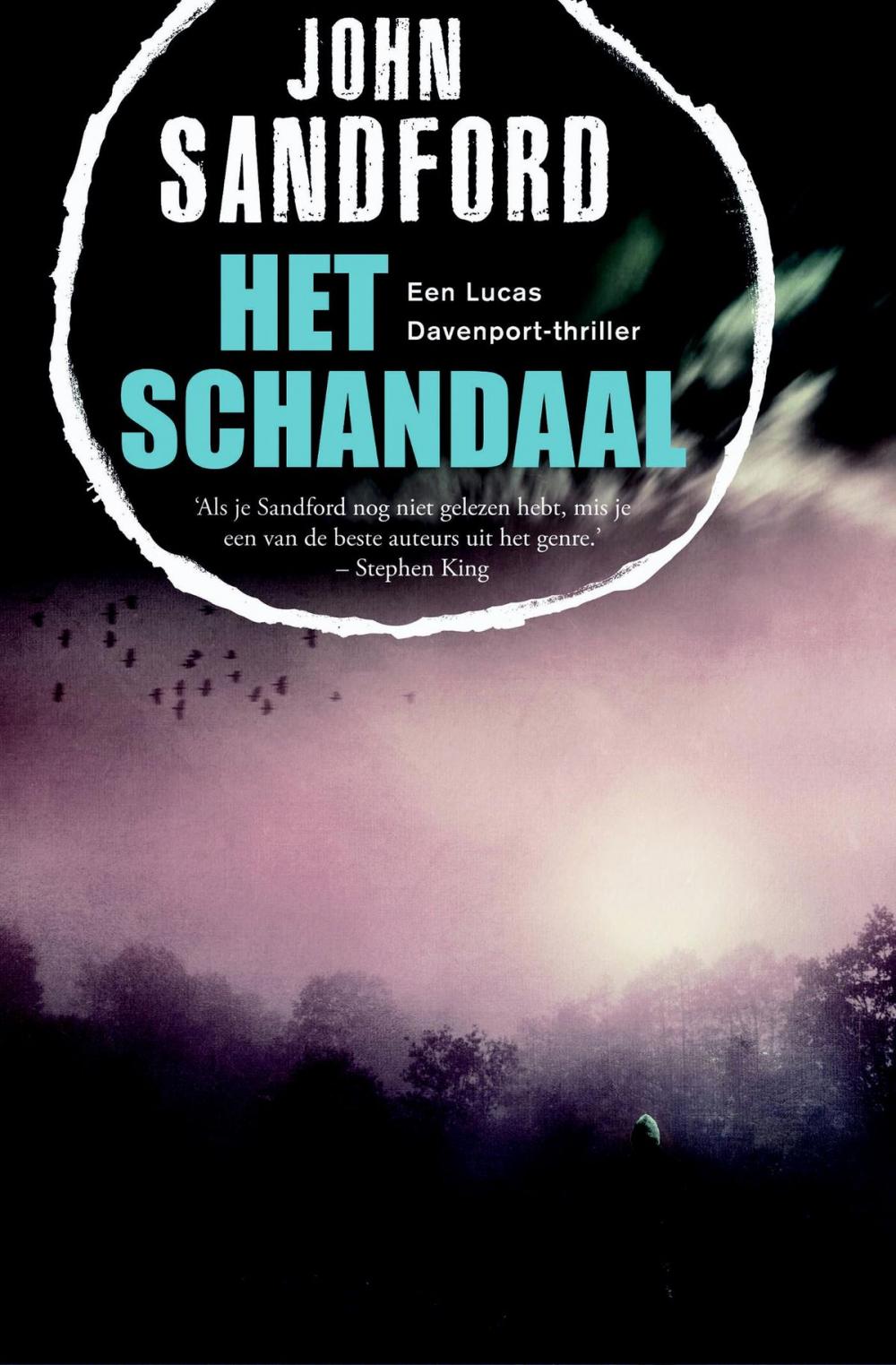 Big bigCover of Het schandaal