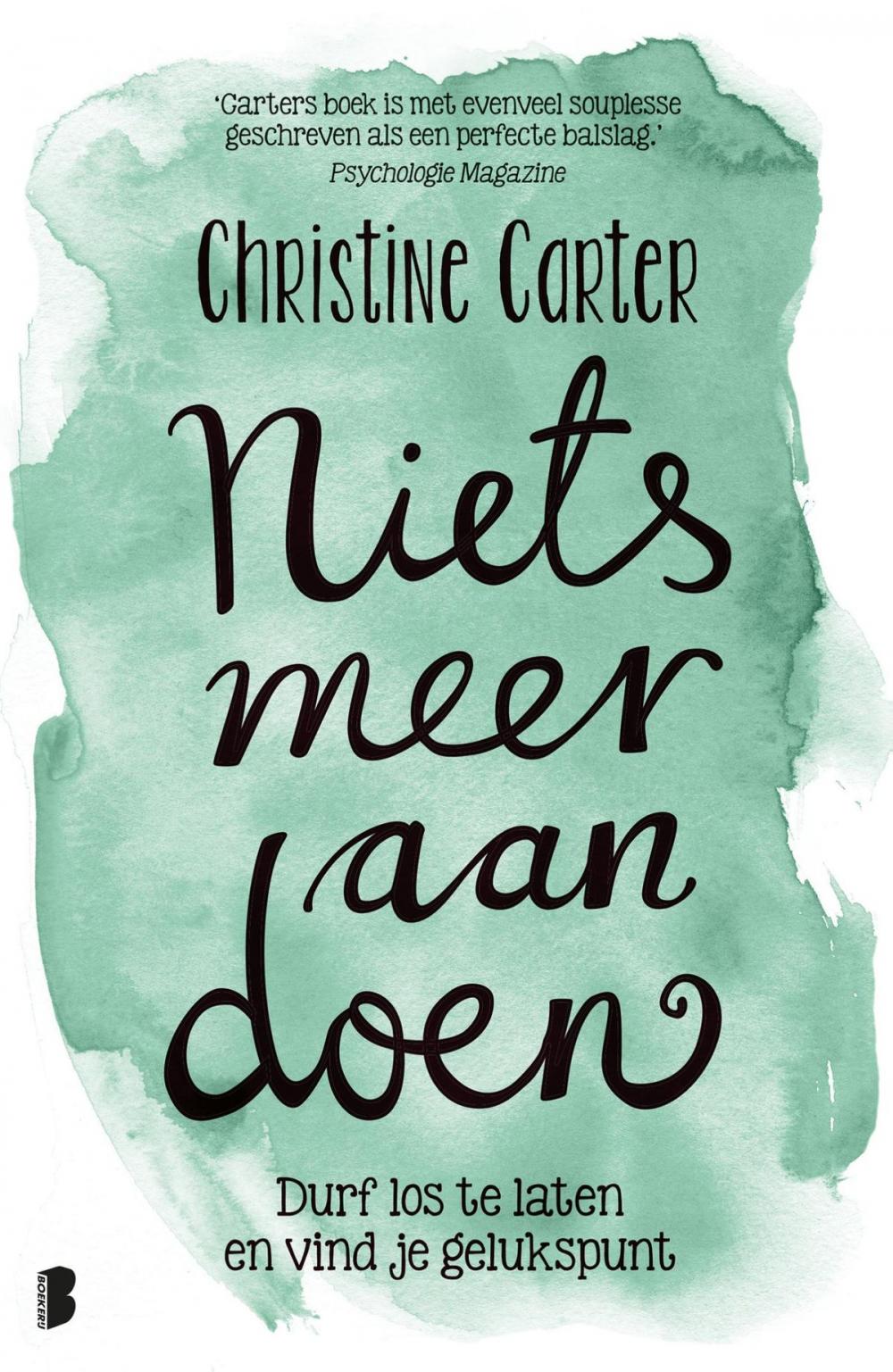 Big bigCover of Niets meer aan doen