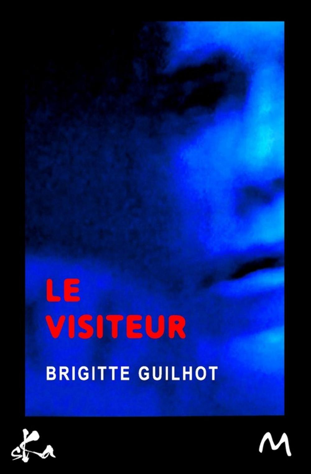 Big bigCover of Le visiteur