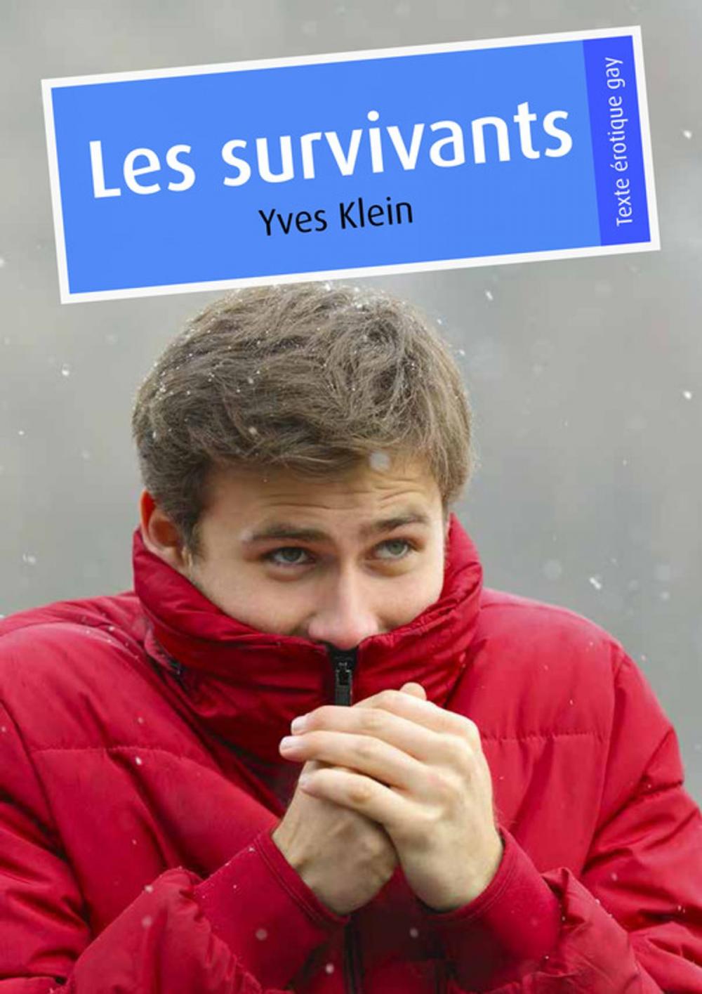 Big bigCover of Les survivants