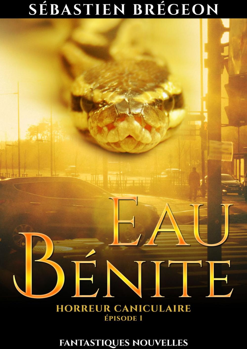 Big bigCover of Eau bénite