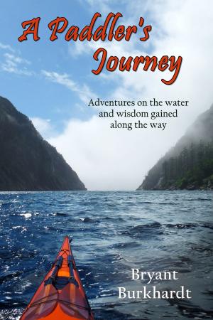 bigCover of the book A Paddler's Journey by 