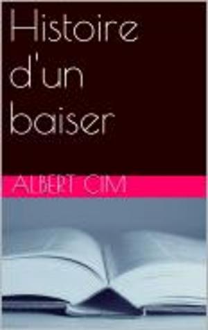 Book cover of Histoire d'un baiser