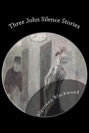 Cover of the book Three John Silence Stories by Dana Fraedrich