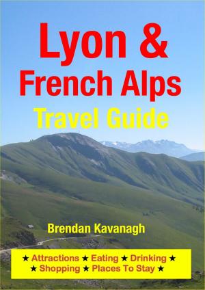 Cover of Lyon & French Alps Travel Guide - Attractions, Eating, Drinking, Shopping & Places To Stay