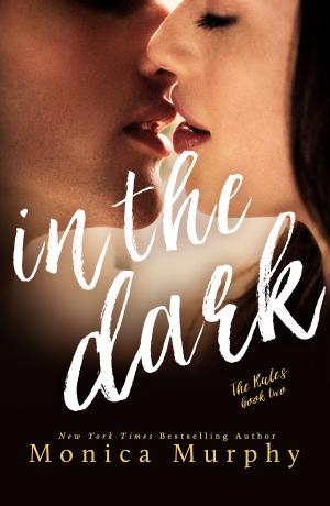 Book cover of In The Dark