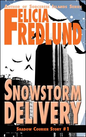 Cover of the book Snowstorm Delivery by John G. Hartness