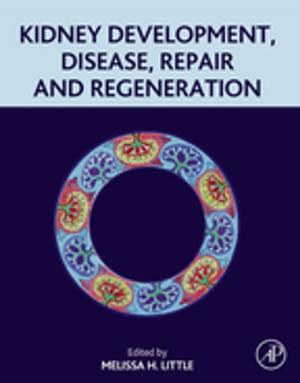 Cover of the book Kidney Development, Disease, Repair and Regeneration by Junfeng Wang