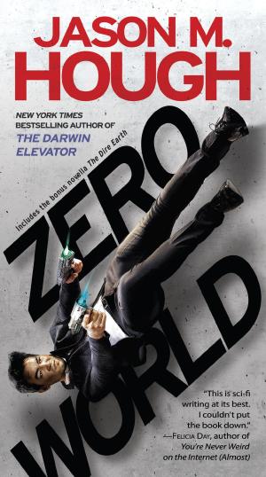 Cover of the book Zero World by Linda Cajio