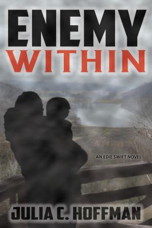 Cover of the book Enemy Within by Andrew James