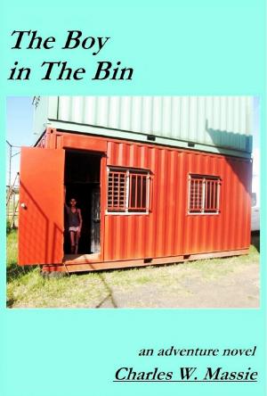 Book cover of The Boy in The Bin