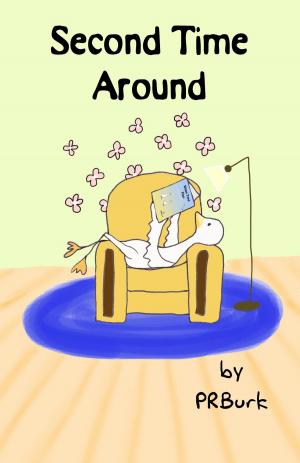 Cover of the book Second Time Around by Zvi Enav