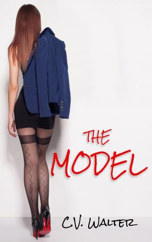 Cover of the book The Model by Imari Wilson
