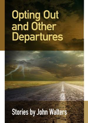 Cover of the book Opting Out and Other Departures by Leonard Delaney