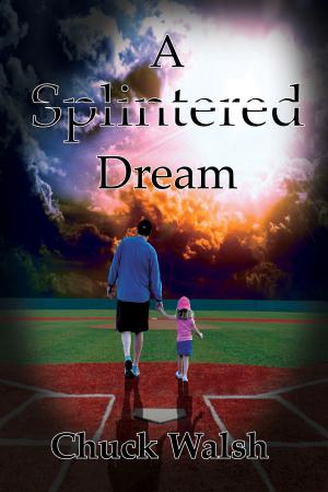 Cover of the book A Splintered Dream by Ann McDeed