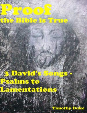 Cover of the book Proof the Bible Is True: 3 David's Songs - Psalms to Lamentations by Doreen Milstead