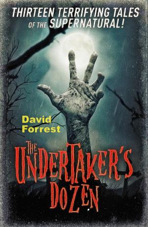 Cover of the book The Undertaker's Dozen by Claire Lorrimer