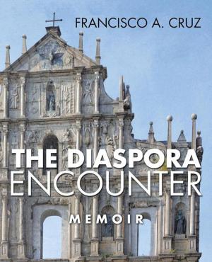 Cover of the book The Diaspora Encounter by Elizabeth Bruening Lewis