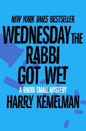 Cover of the book Wednesday the Rabbi Got Wet by Michael Chabon