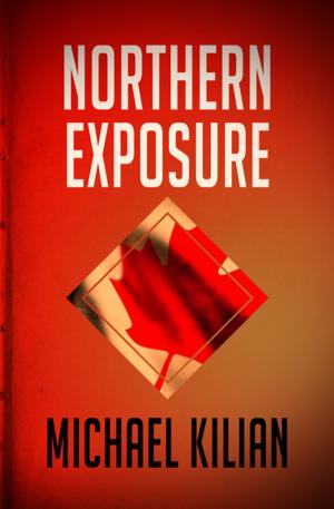 Cover of the book Northern Exposure by J.B. Hawker