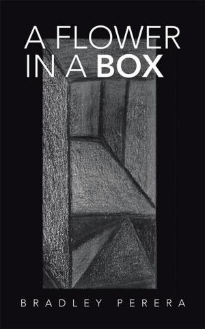 Cover of the book A Flower in a Box by Willa van Gent